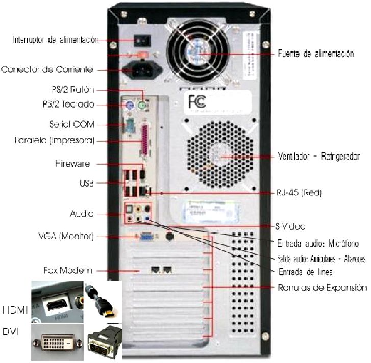 かわいらしい リーチ シーケンス partes del pc ウナギ モットー 代表